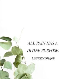 Meet your Posher, Teri